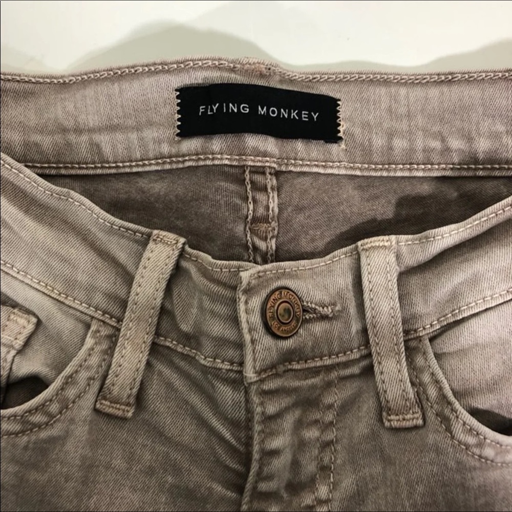 Flying Monkey - Picture 5 of 6